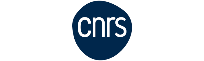 INSTITUT DE CHIMIE - CNRS